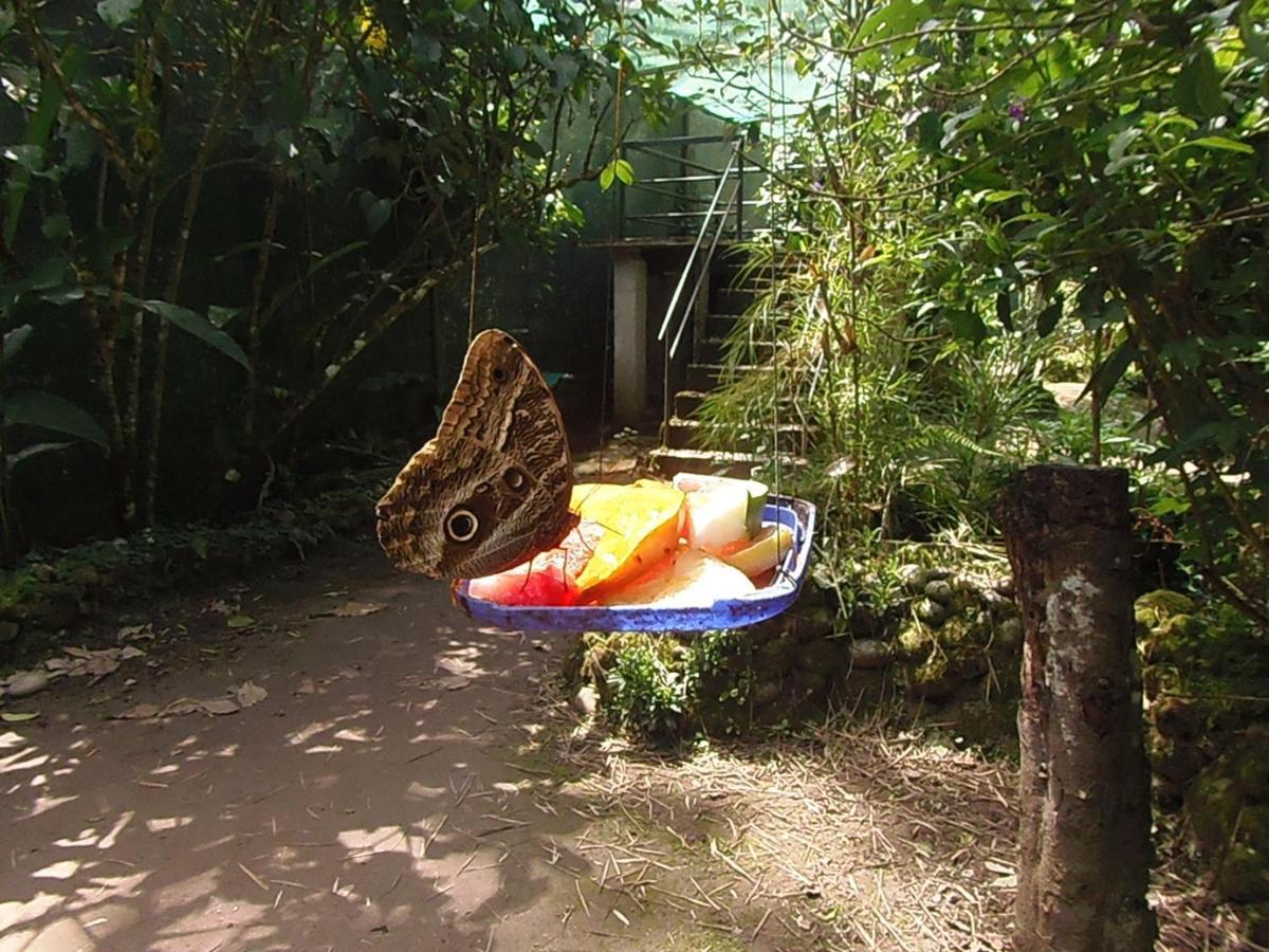 Hostal Pablo'S House Machu Picchu Exterior foto