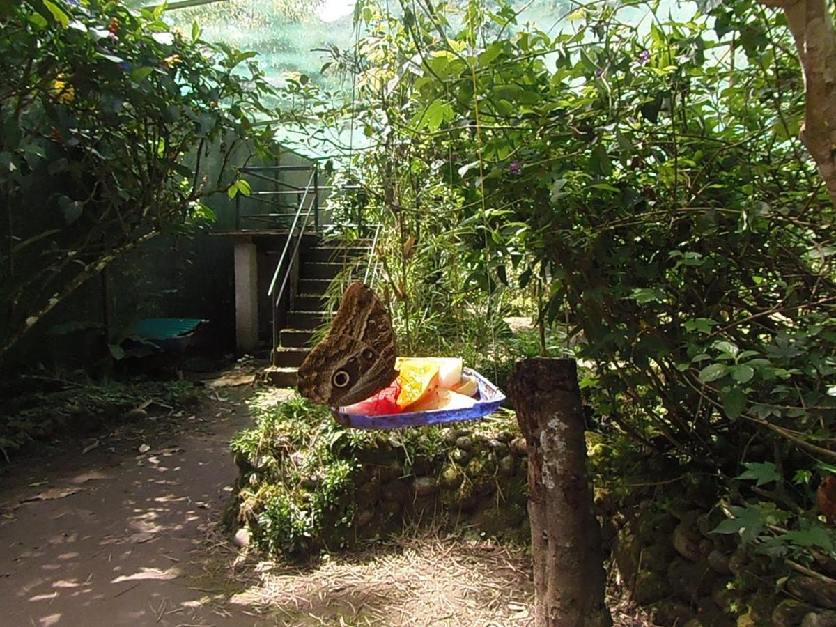 Hostal Pablo'S House Machu Picchu Exterior foto